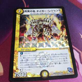 真実の名 タイガー・レジェンド VR