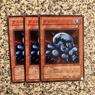 アメーバ ノーマル JP007