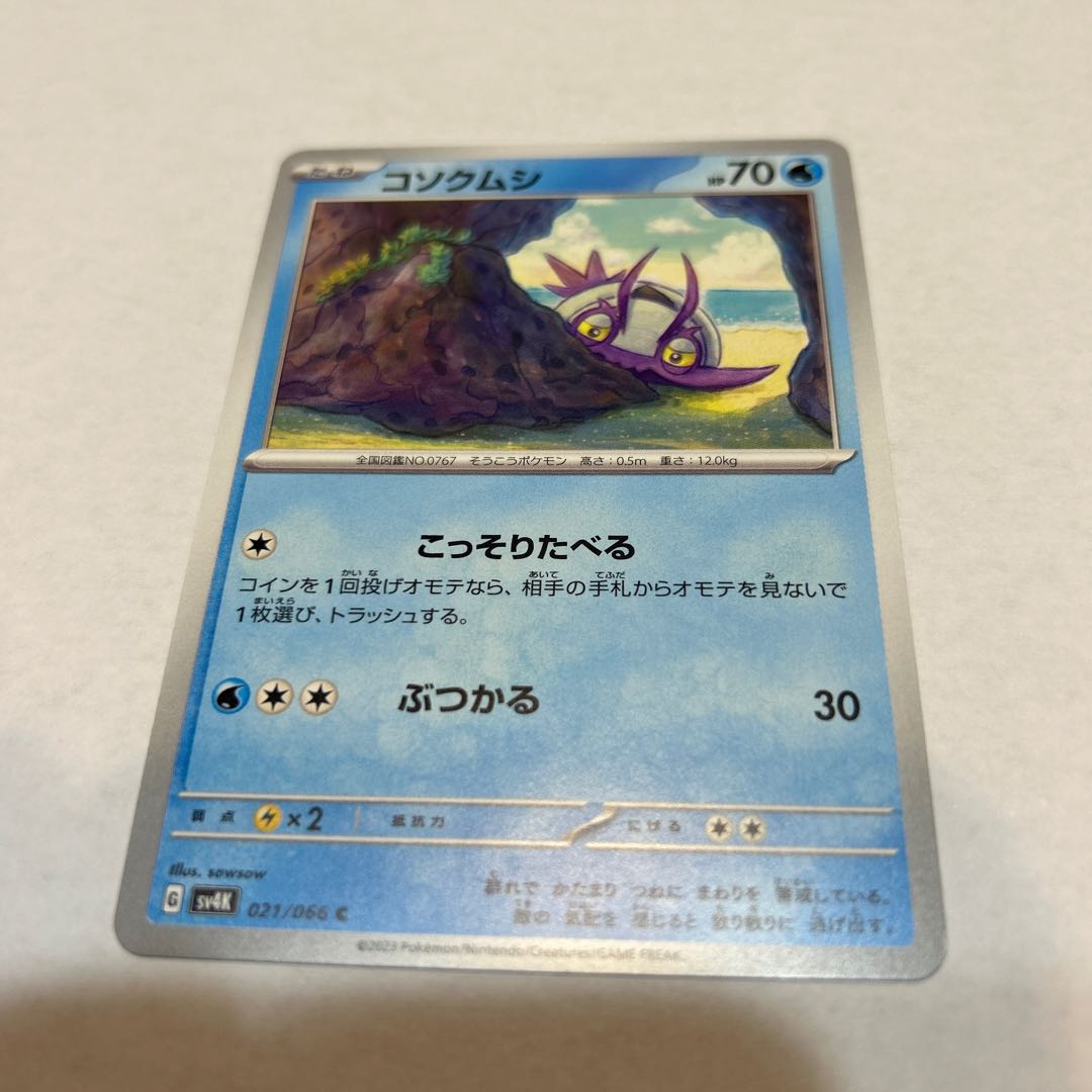 コソクムシ AR 069/066