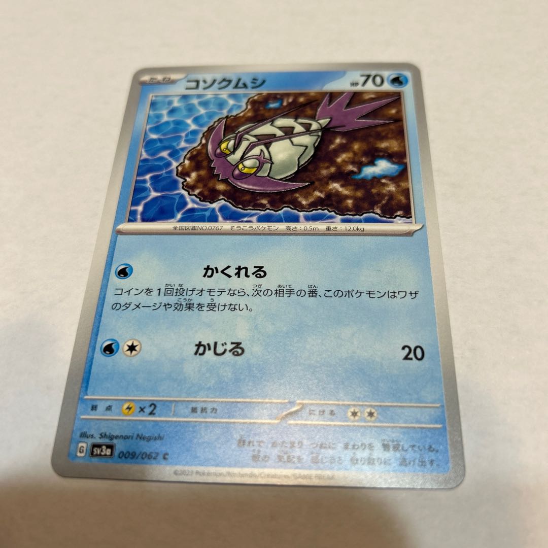 コソクムシ AR 069/066