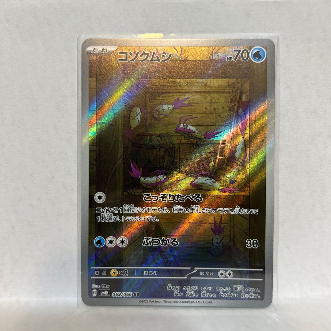 コソクムシ AR 069/066