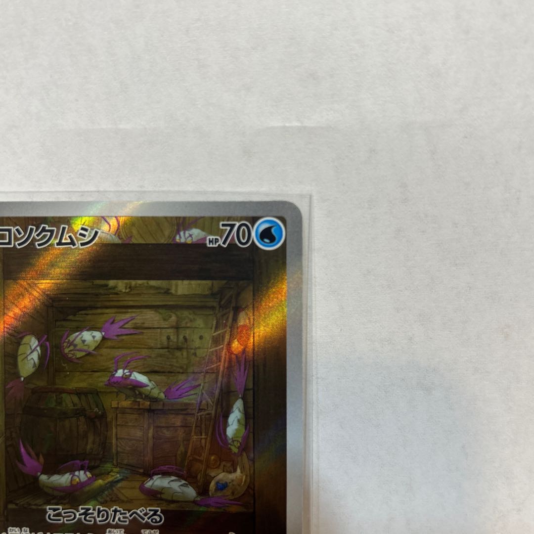 コソクムシ AR 069/066