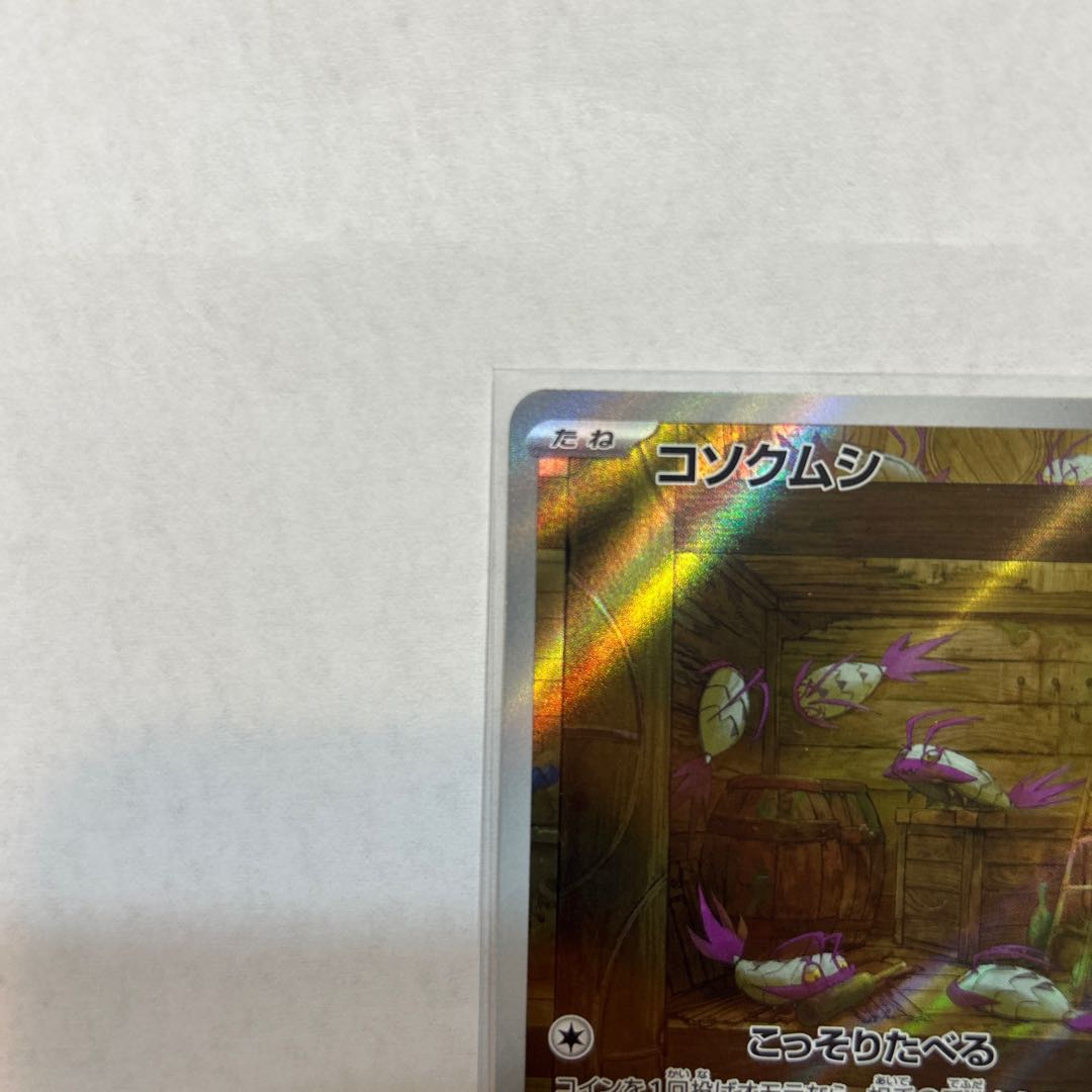 コソクムシ AR 069/066