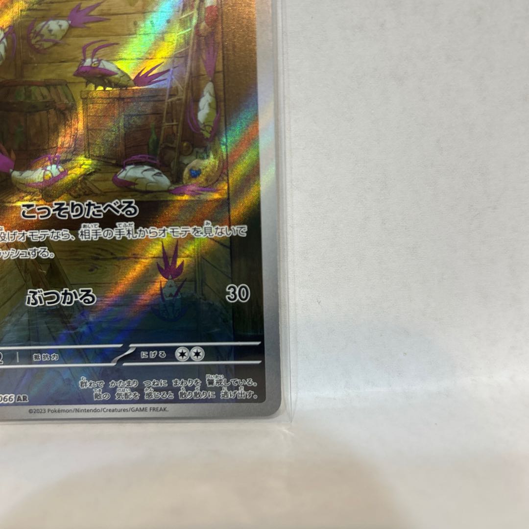 コソクムシ AR 069/066