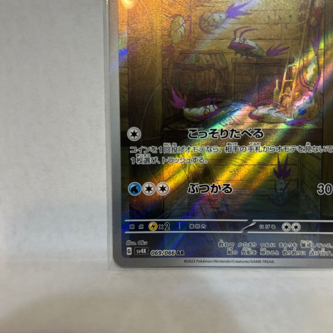 コソクムシ AR 069/066