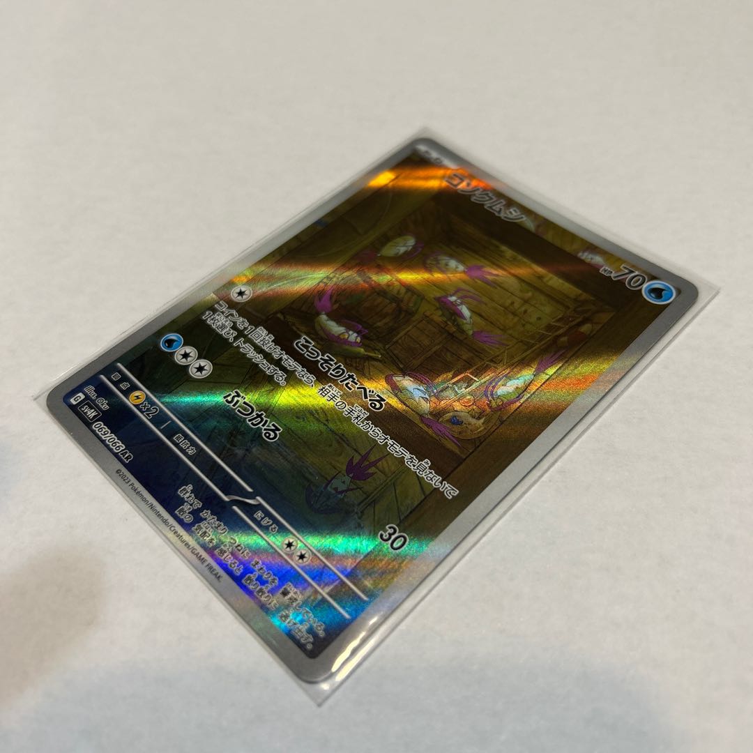 コソクムシ AR 069/066