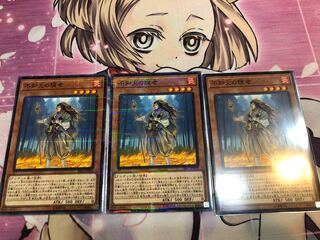 不知火の隠者　ノーパラ3枚セット