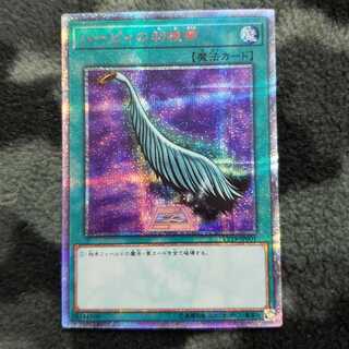 ハーピィの羽根帚 20thSE