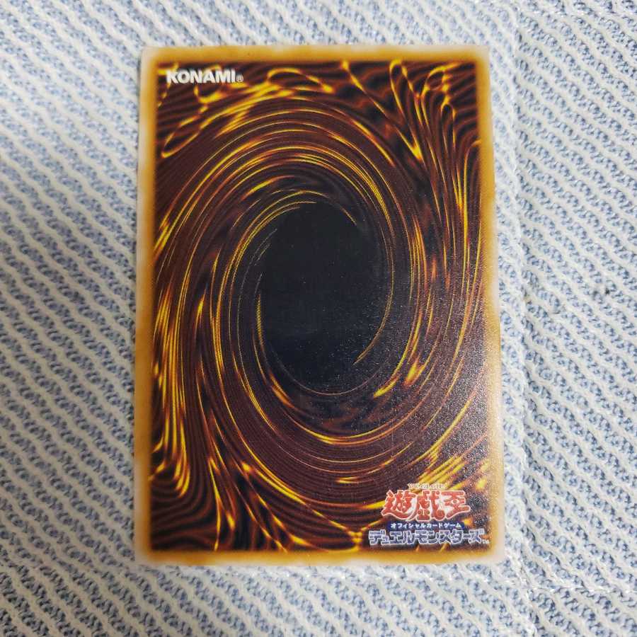 遊戯王 青眼の白龍 d