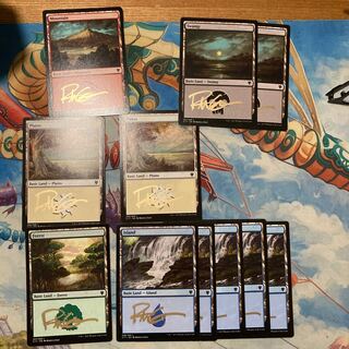 Rebecca Guay Signed Basic Land Set Island Plains Forest Mountain Swamp 1枚