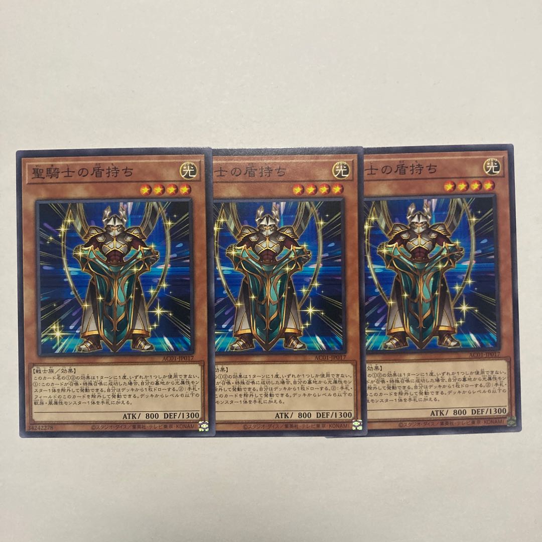 Noble Knight's Shield-Bearer Normal JP017