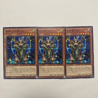 Noble Knight's Shield-Bearer Normal JP017