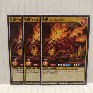 魔獣ウォルフラム　3枚　ノーマル　ラッシュデュエル　マホ子