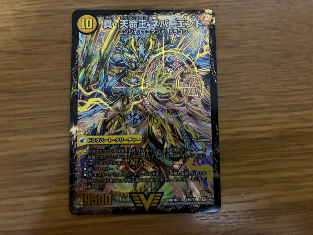 True Sacred Church Endless Heaven True King of Heaven Never End DS