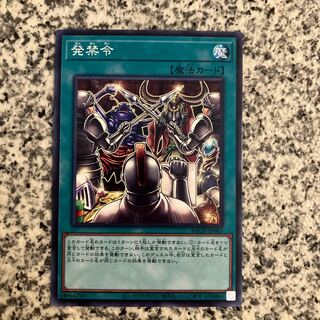 Injunction Order Normal JP063