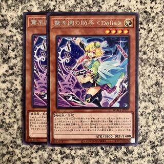 Surprise Paradise Assistant <Delia> Rare JP020