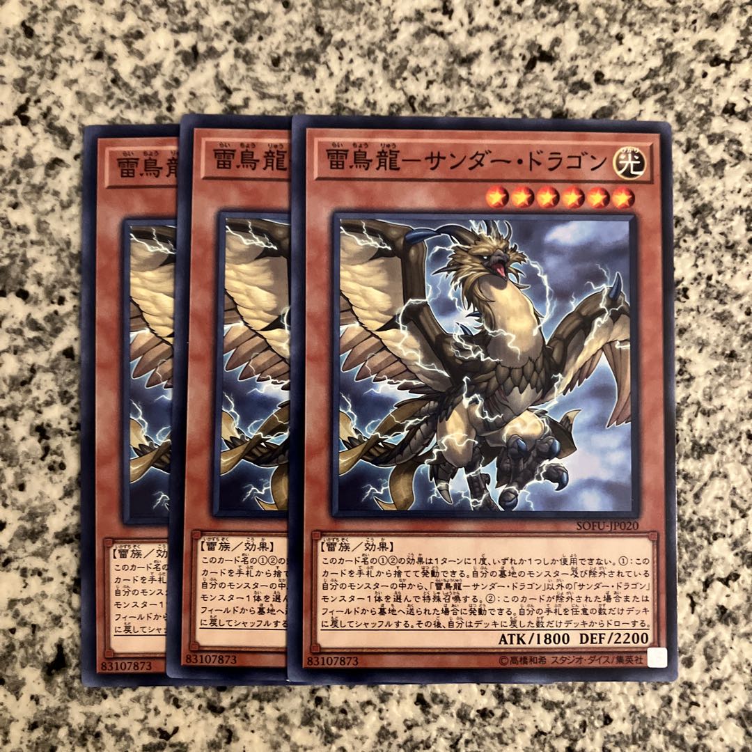 Lightning Bird Dragon - Thunder Dragon Normal JP020 1枚