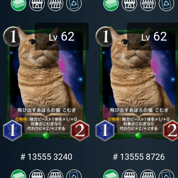 2 sheets Pop-up Apolo's cat, Komugi