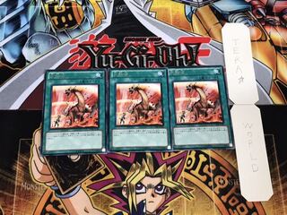 Heat Wave Rare, Set of 3