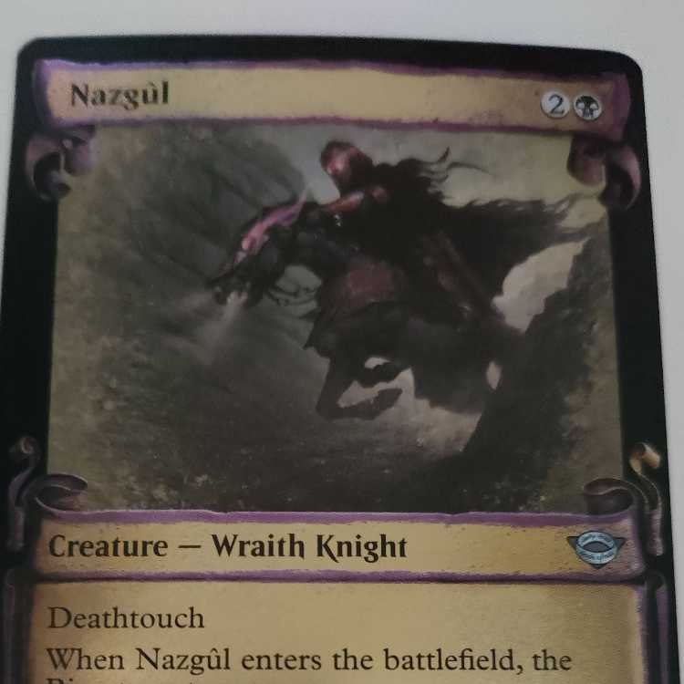 Nazgûl (National Socialist German Workers' Party)