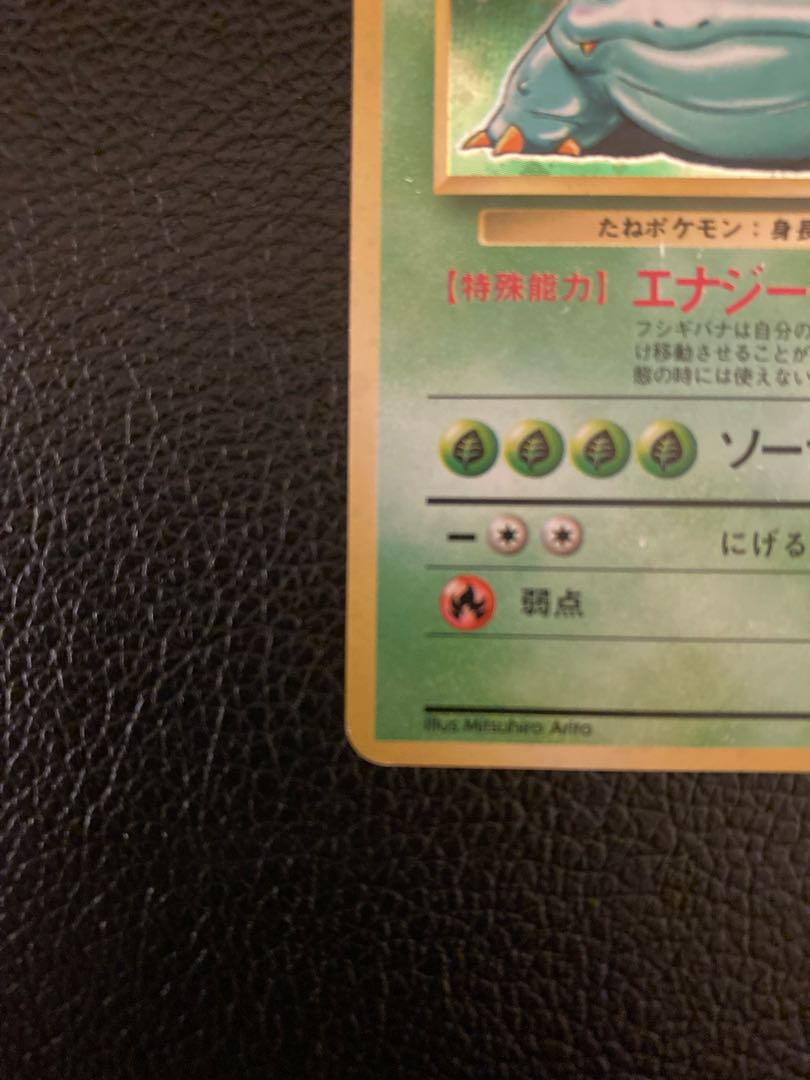 Pokemon card old back Venusaur