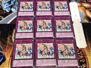 恵みの風 レア 9枚セット