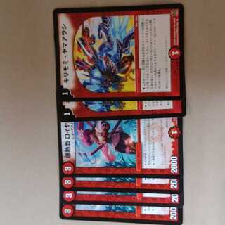 ロイヤルアイラ　キリモミヤマアラシ