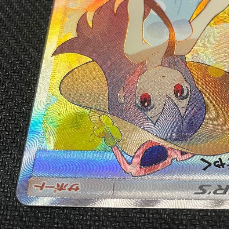 Sightseer SR 192/173