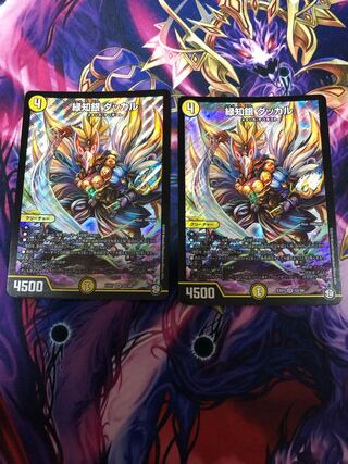 緑知銀 ダッカル SR S2/S6