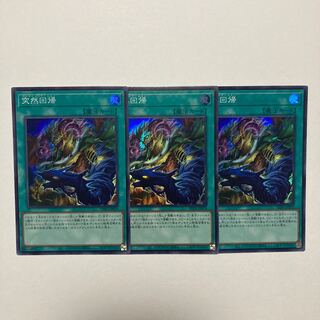 突然回帰 スーパーレア PHNI-JP070