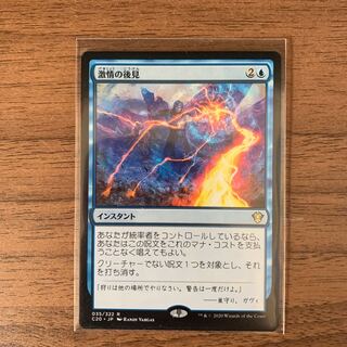 激情の後見　C20