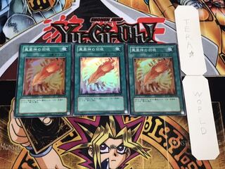 鳳凰神の羽根 スーパー 3枚セット