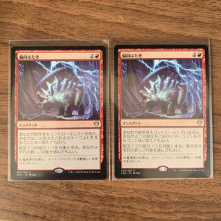 偏向はたき　2枚セット　C20