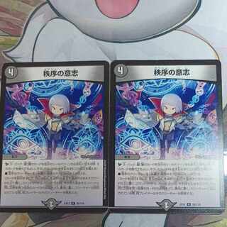 秩序の意志 R 35/110