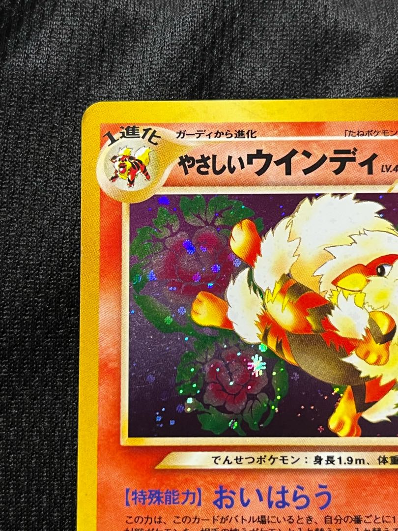 やさしいウインディ 旧裏【値下げ中！】