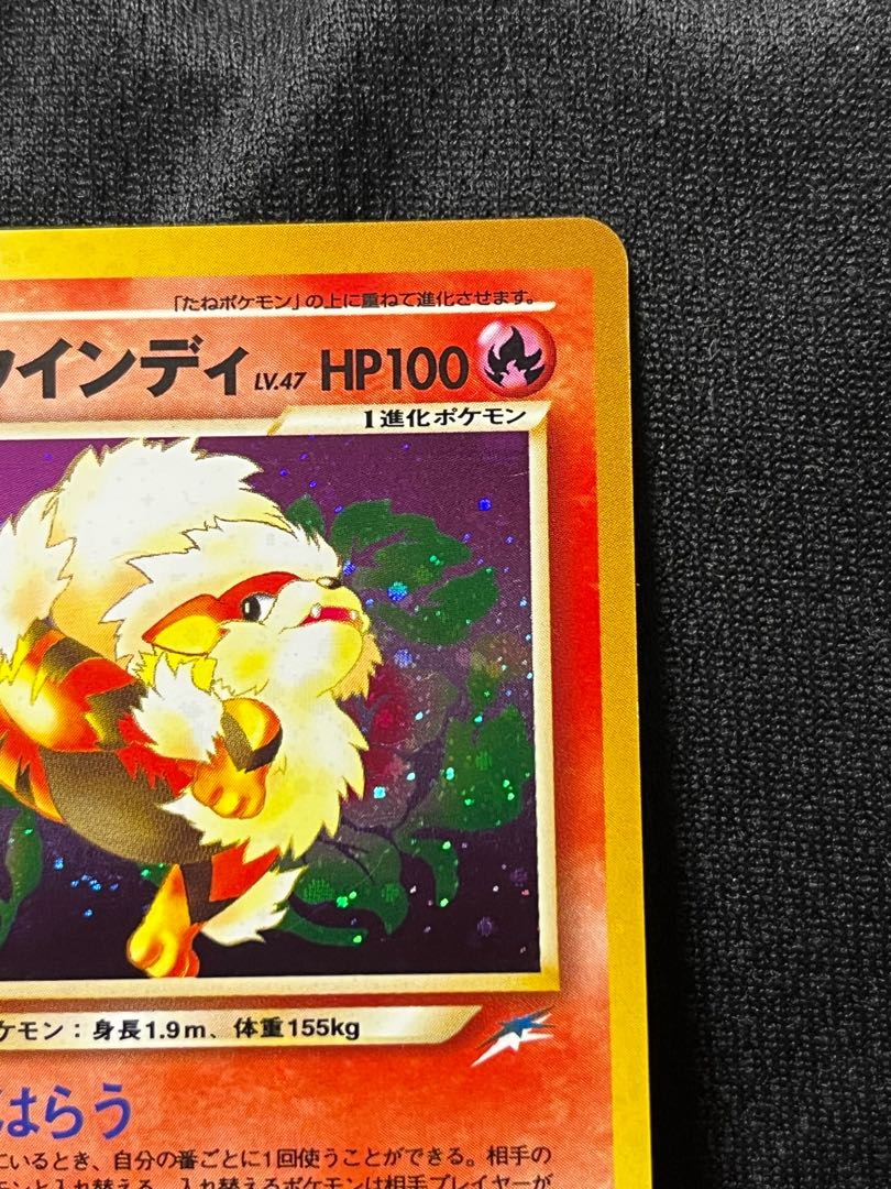 やさしいウインディ 旧裏【値下げ中！】