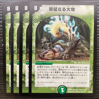 Fierce Earth R 12/55/Y6