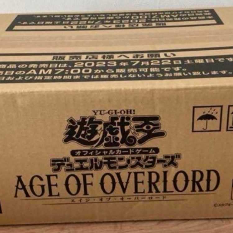 エイジオブオーバーロード Age of the overload 3カートンの通販 