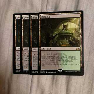 草むした墓　４枚