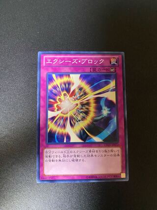 エクシーズ・ブロック ノーマル JP072