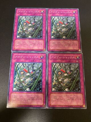 Ivy Shackles Normal JP048