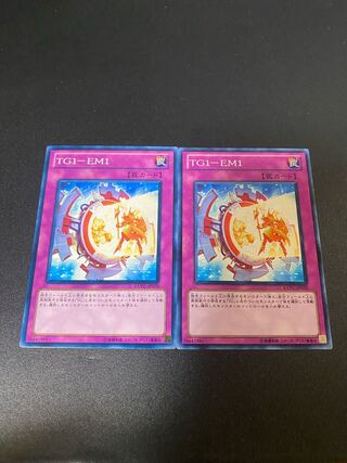 TG1-EM1 Normal JP070