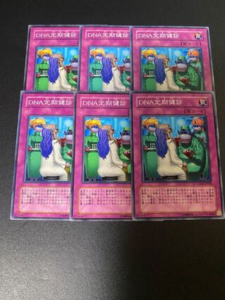 DNA定期健診 ノーマル JP078