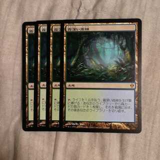 霧深い雨林　４枚