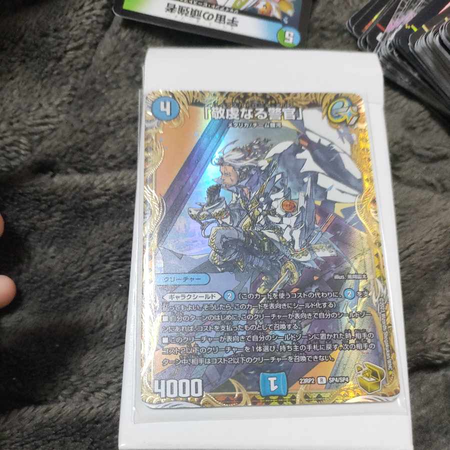 Paias Patrol Po Squirrel