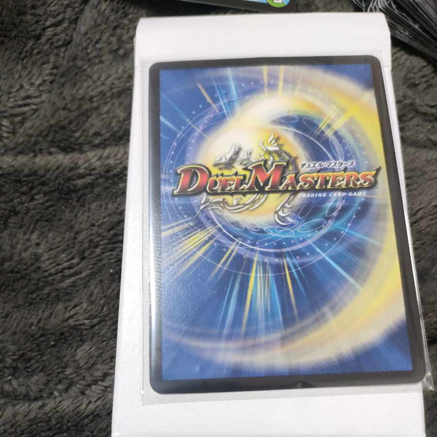 Paias Patrol Po Squirrel