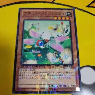 Naturia Dragonfly Normal JP040 1枚