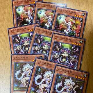 9 Mushroom Parts! 3 Traptrix Genlisea + 3 Traptrix Nepenthes + 3 Traptrix Atrax