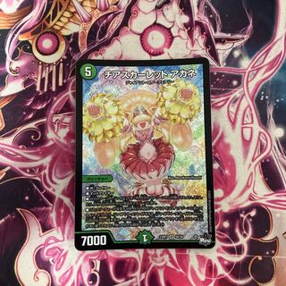 Cheer Scarlet Whitney SR S8/S8