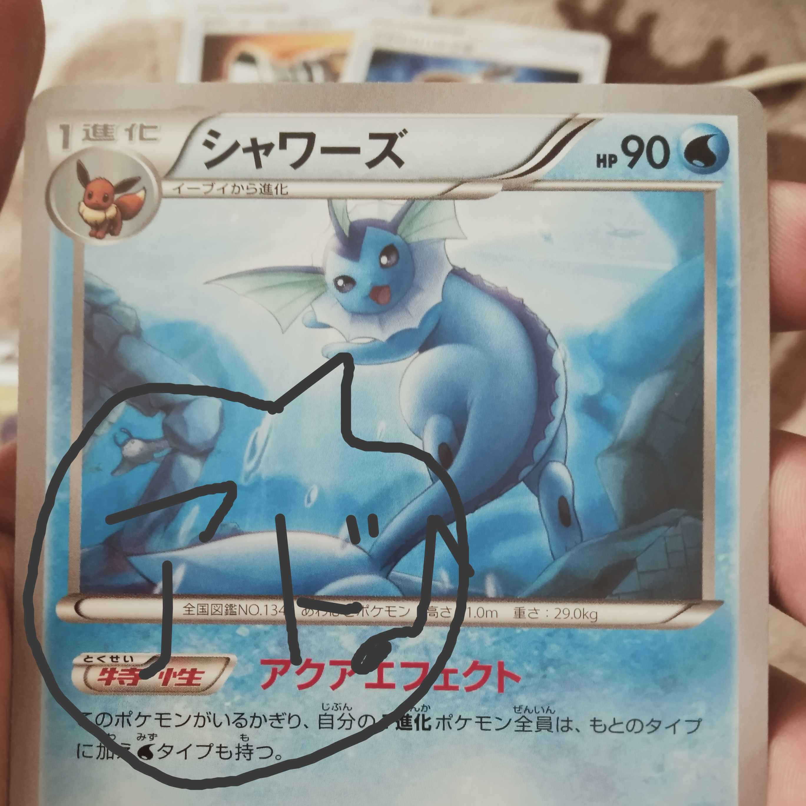 yuuポケカさん専用オリパ